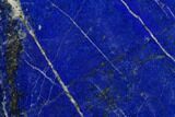 Polished Lapis Lazuli - Pakistan #170895-2